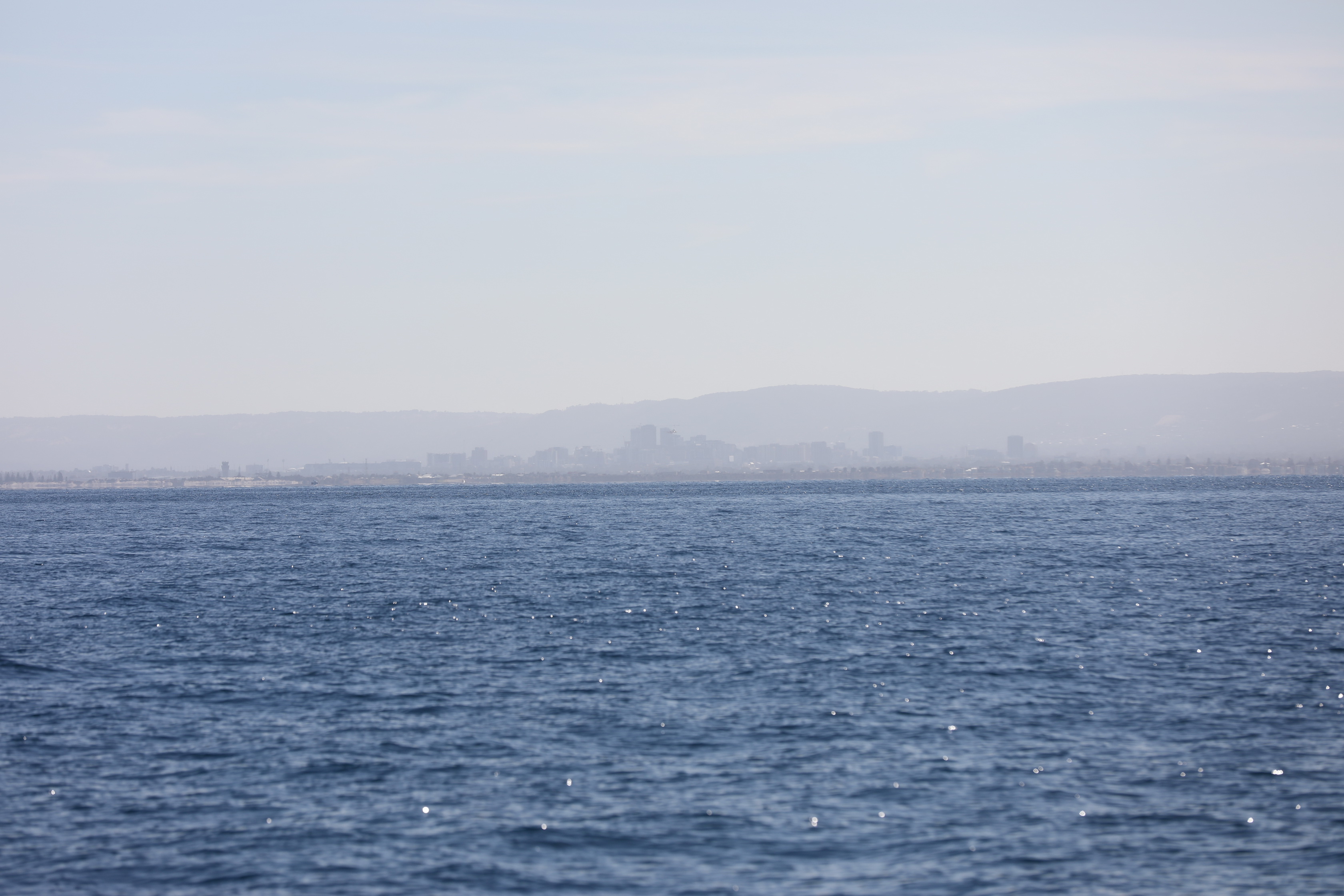 2019 12 07 09 04 08 Canon EOS 5D Mark IV 0015